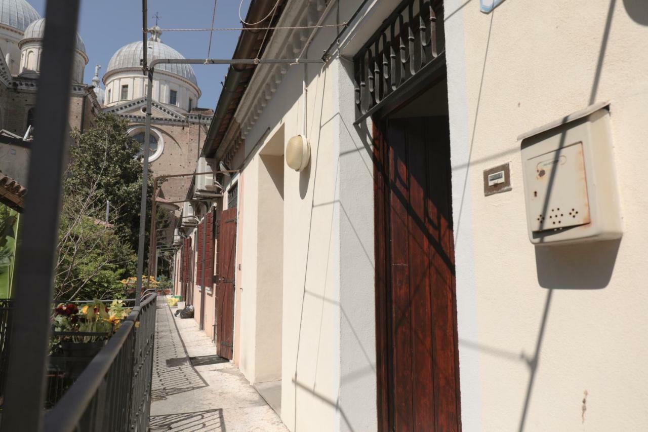 Om Plus Santa Giustina パドヴァ エクステリア 写真